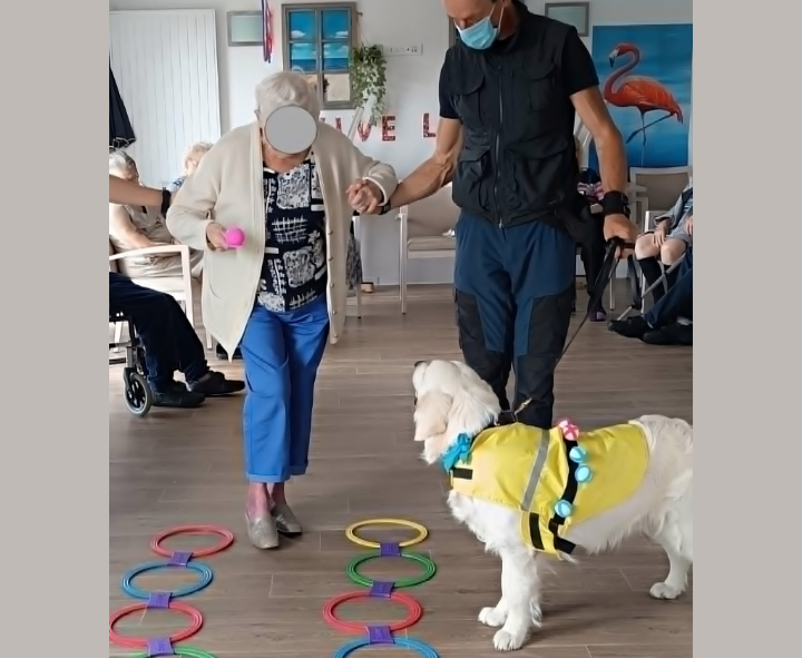 Zootherapie bethune